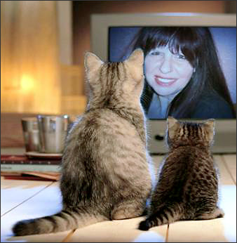 Uschis Katzen-TV